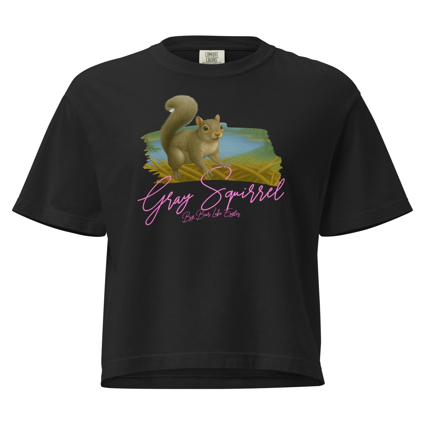 Gray squirrel sitting upright with curled tail, illustrated on a cozy boxy Tee shirt from the Big Bear Lake Eagles Nest Visitors wildlife collection.