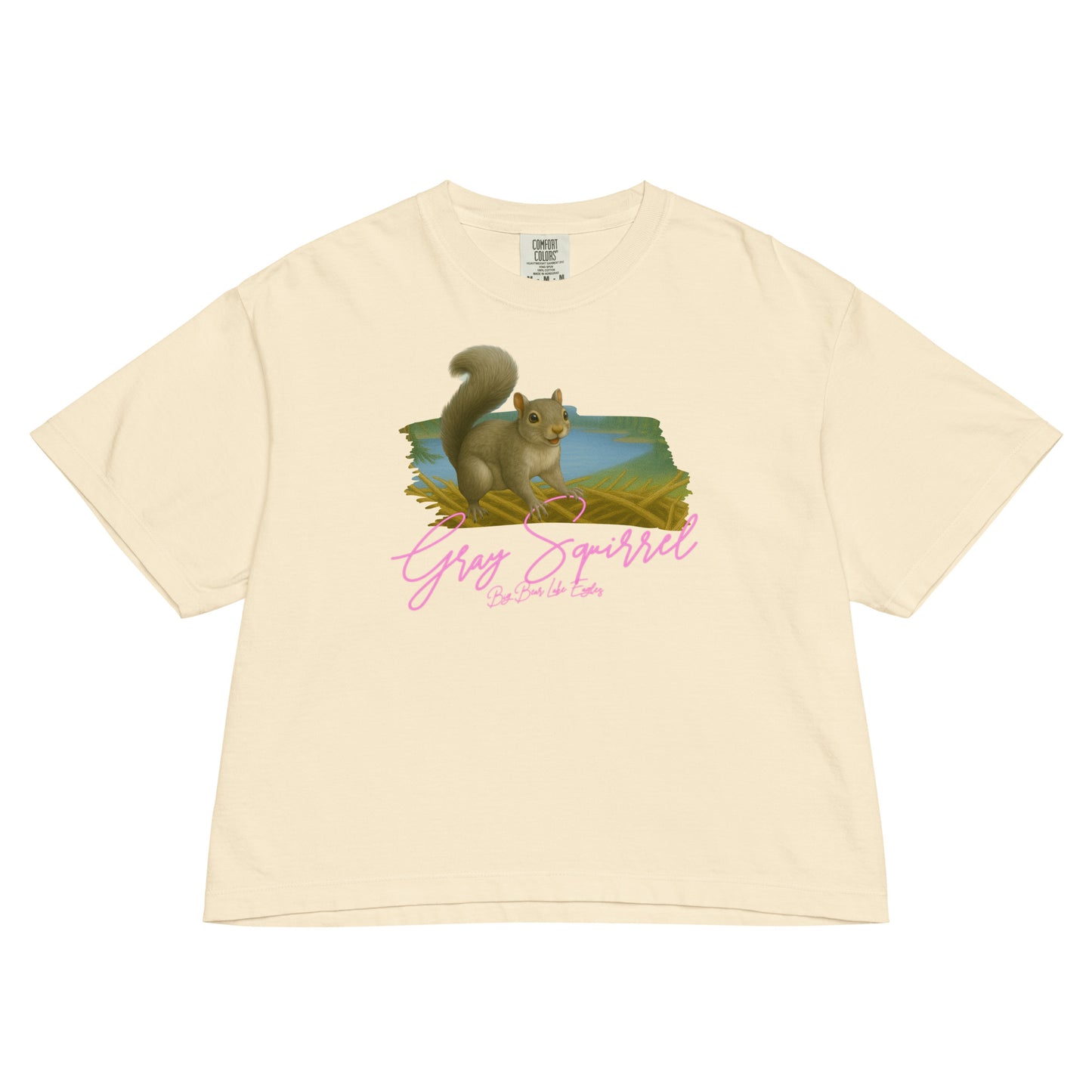 Gray squirrel sitting upright with curled tail, illustrated on a cozy boxy Tee shirt from the Big Bear Lake Eagles Nest Visitors wildlife collection.