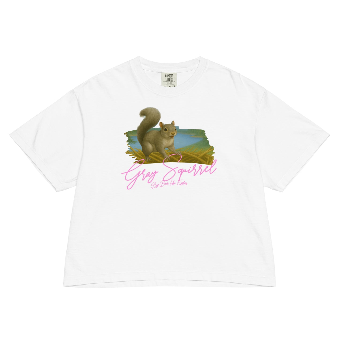 Gray squirrel sitting upright with curled tail, illustrated on a cozy boxy Tee shirt from the Big Bear Lake Eagles Nest Visitors wildlife collection.