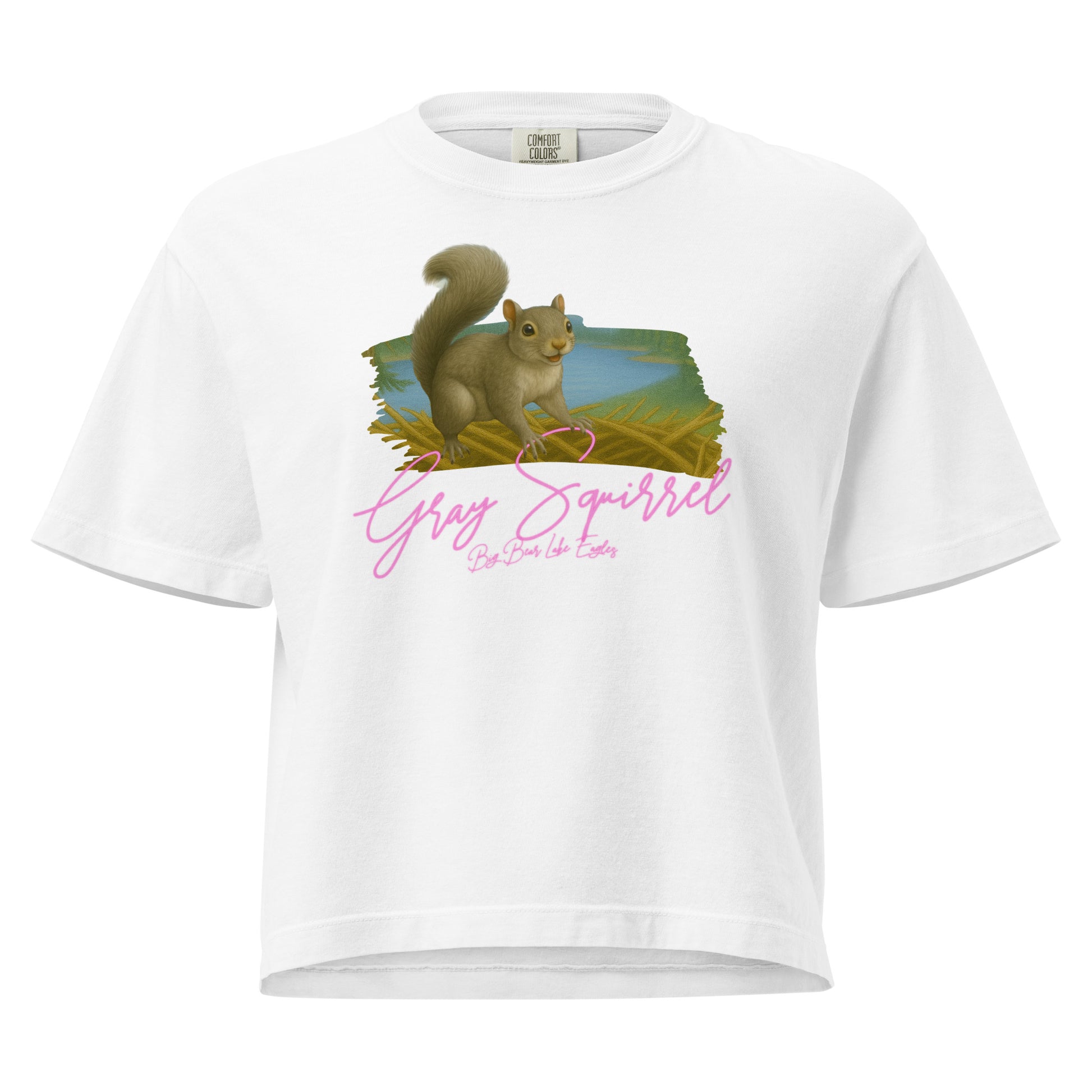 Gray squirrel sitting upright with curled tail, illustrated on a cozy boxy Tee shirt from the Big Bear Lake Eagles Nest Visitors wildlife collection.